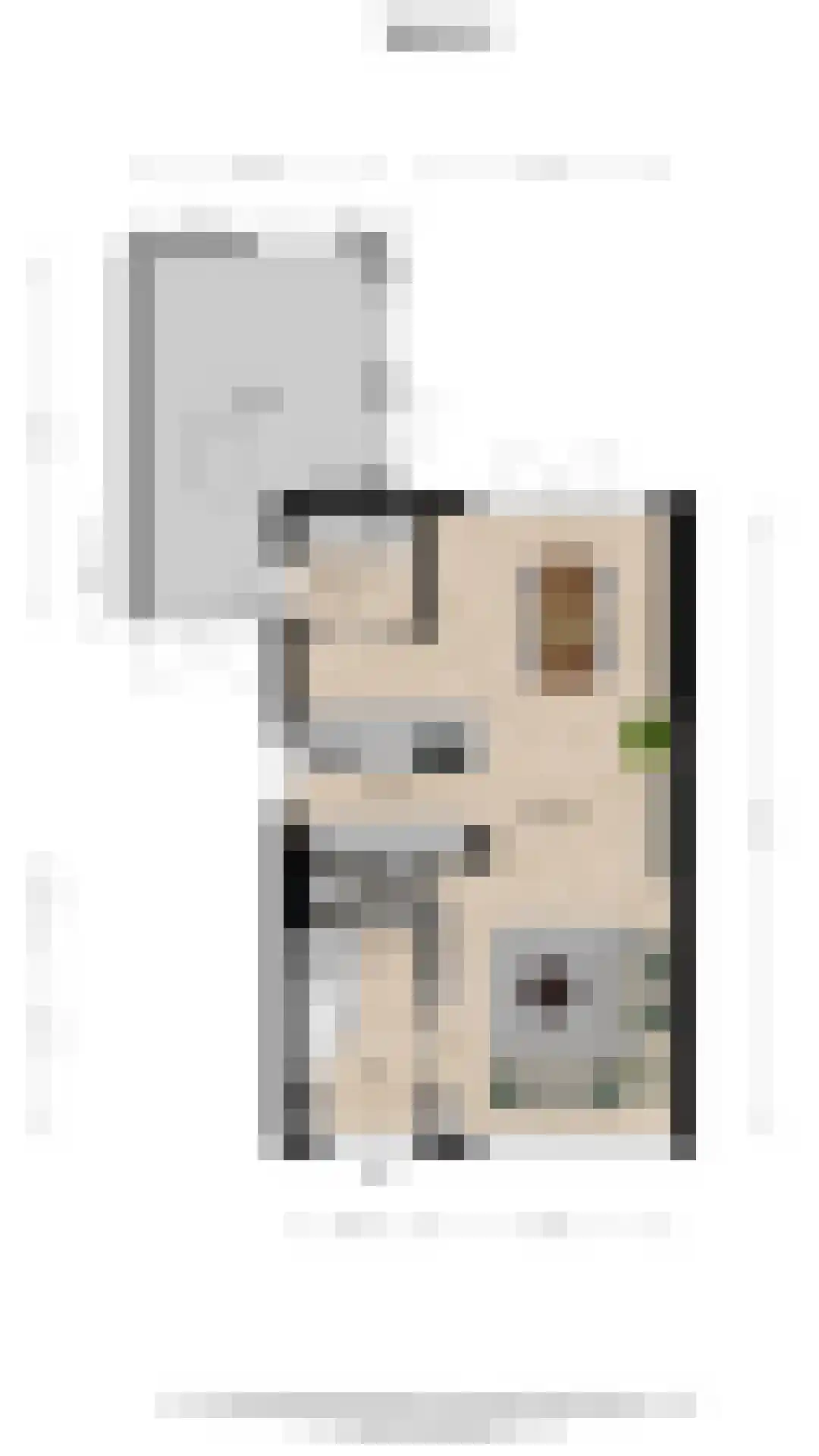 Reigerstraat 17 Nieuwkoop thumbnail 61