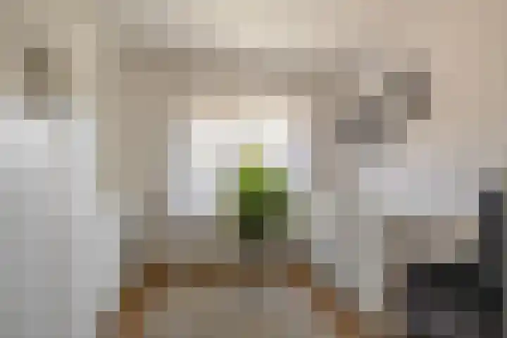 Reigerstraat 17 Tegelen thumbnail 10