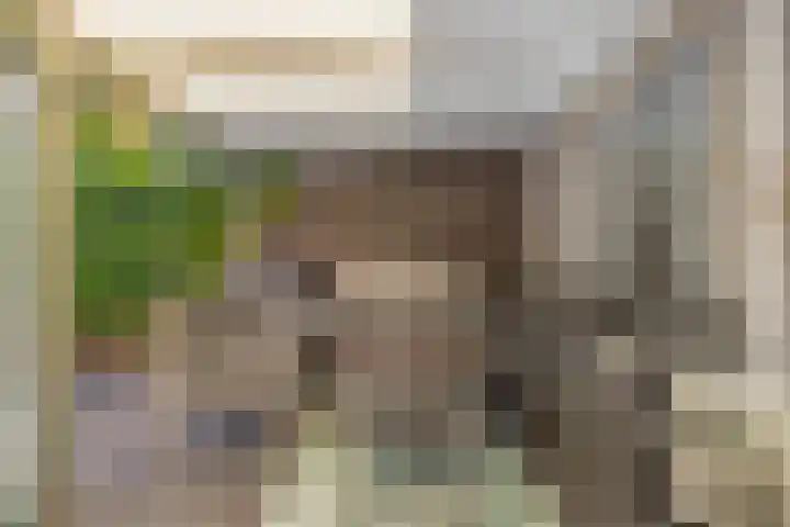 Reigerstraat 17 Tegelen thumbnail 13