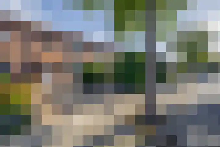 Reigerstraat 17 Tegelen thumbnail 18