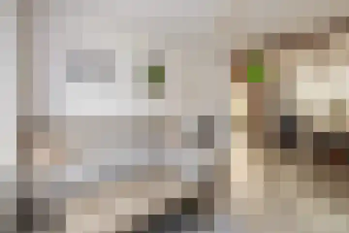 Reigerstraat 17 Tegelen thumbnail 4