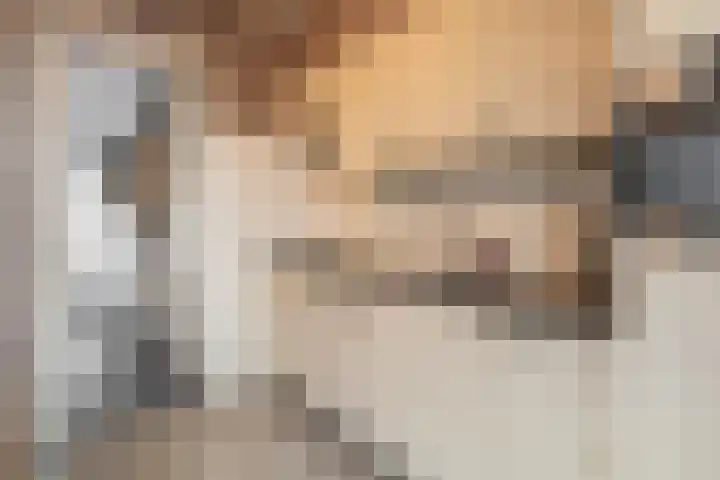 Reigerstraat 17 Tegelen thumbnail 6