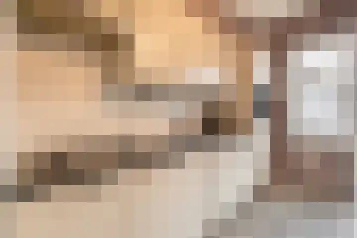 Reigerstraat 17 Tegelen thumbnail 7