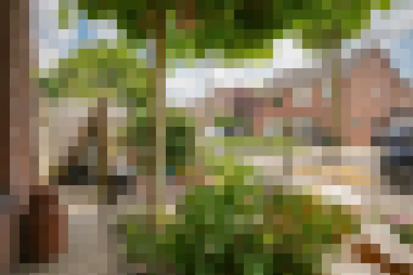 Reigerstraat 18 Beneden-Leeuwen thumbnail 34