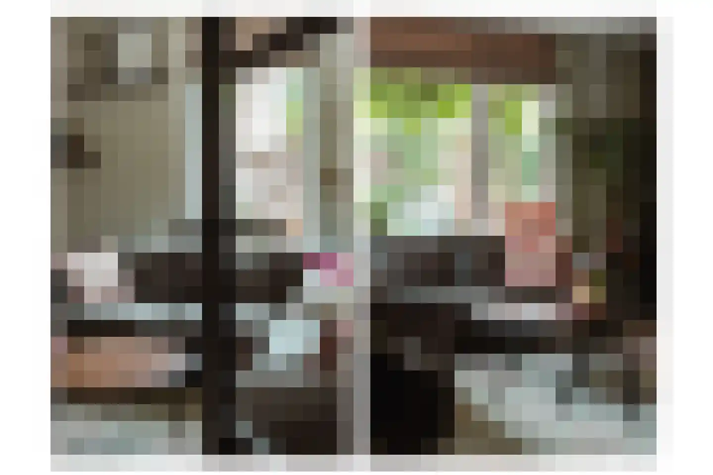 Reigerstraat 18 Beneden-Leeuwen thumbnail 6