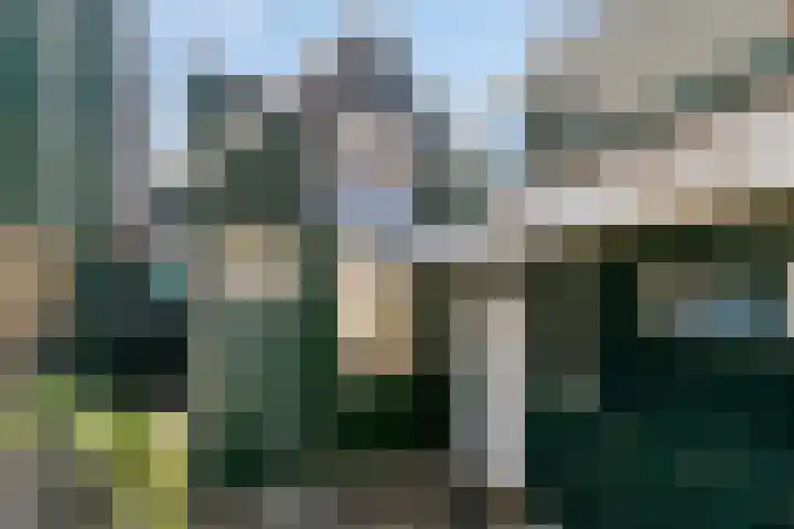 Reigerstraat 18 Zaandam thumbnail 7