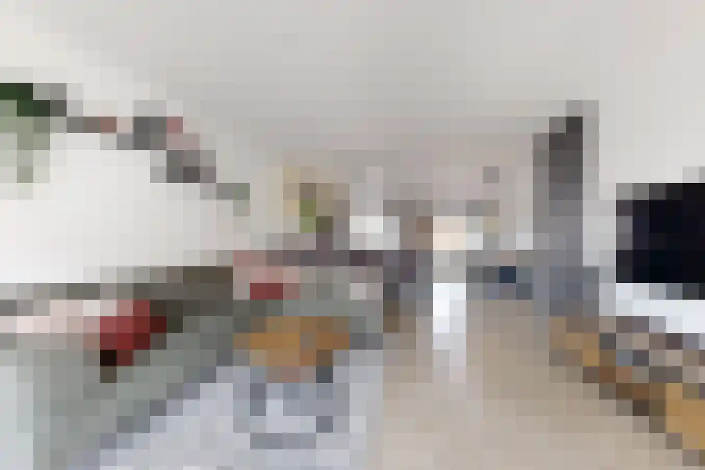 Reigerstraat 20 Fijnaart thumbnail 14