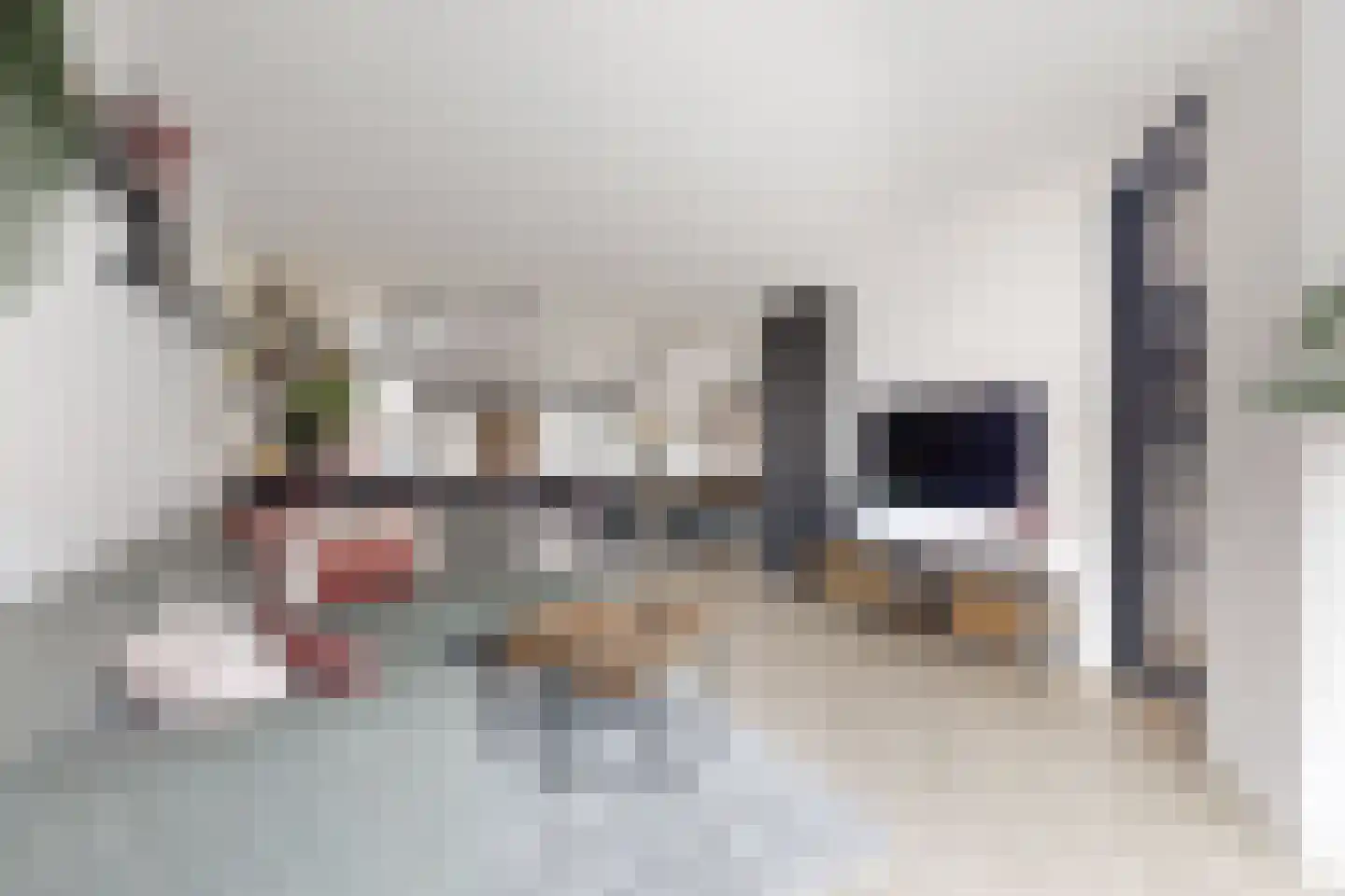 Reigerstraat 20 Fijnaart thumbnail 15
