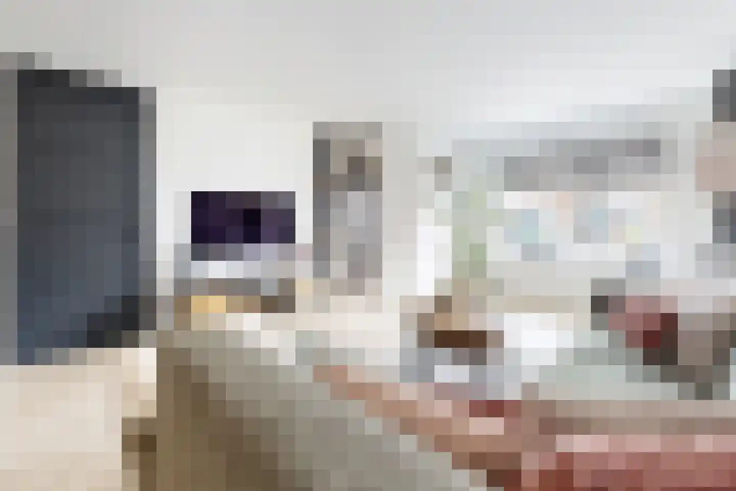 Reigerstraat 20 Fijnaart thumbnail 17