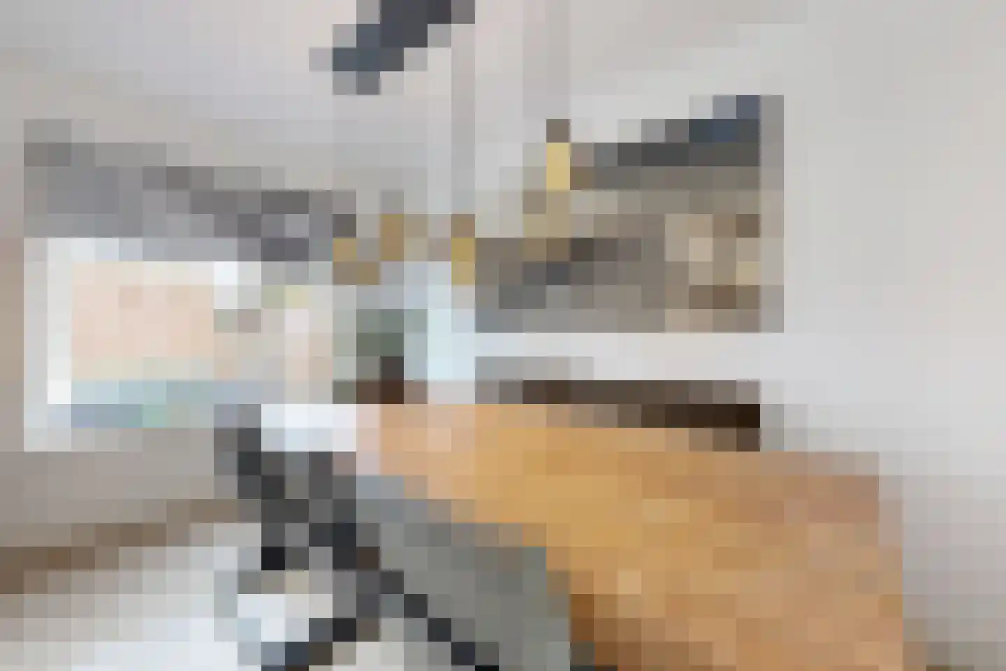 Reigerstraat 20 Fijnaart thumbnail 20