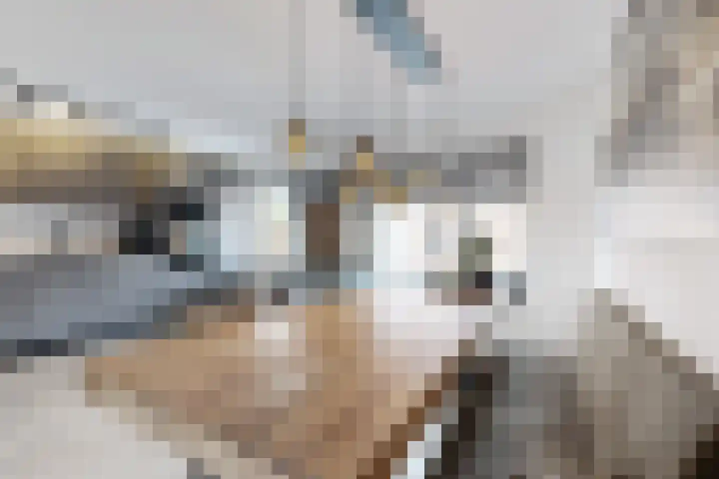 Reigerstraat 20 Fijnaart thumbnail 22