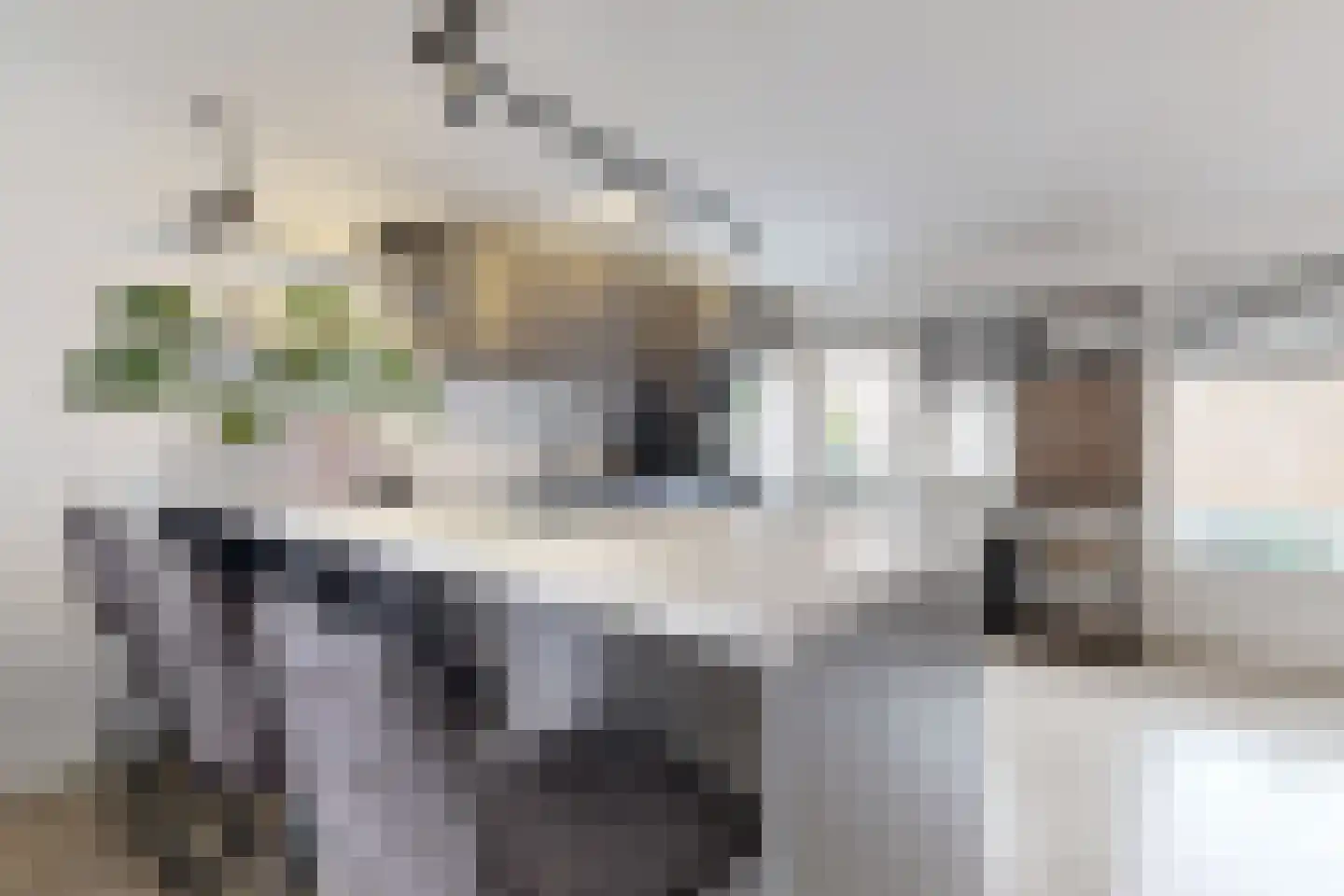 Reigerstraat 20 Fijnaart thumbnail 25