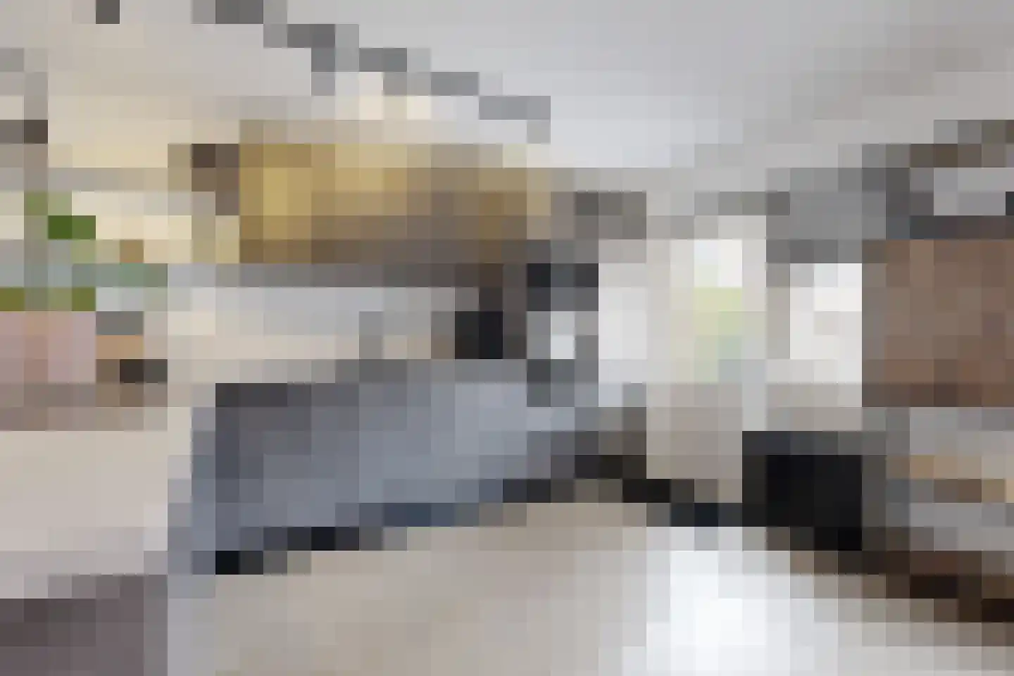 Reigerstraat 20 Fijnaart thumbnail 26