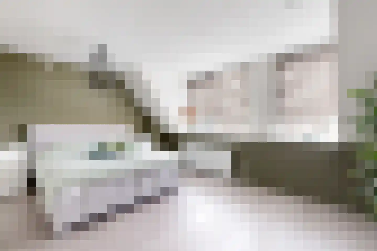 Reigerstraat 20 Fijnaart thumbnail 32