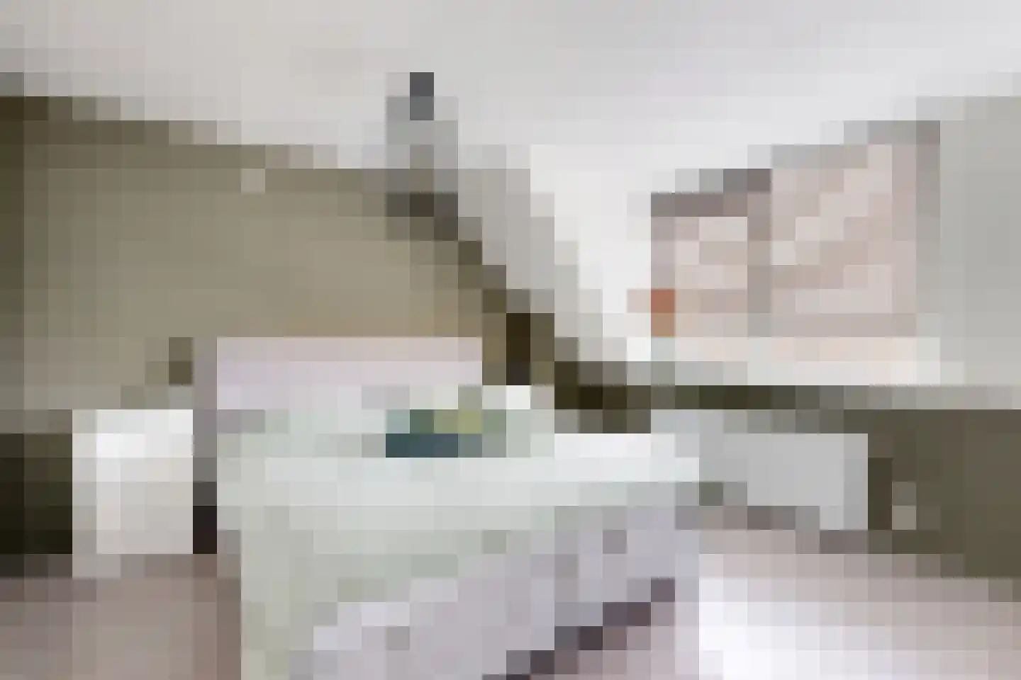 Reigerstraat 20 Fijnaart thumbnail 33