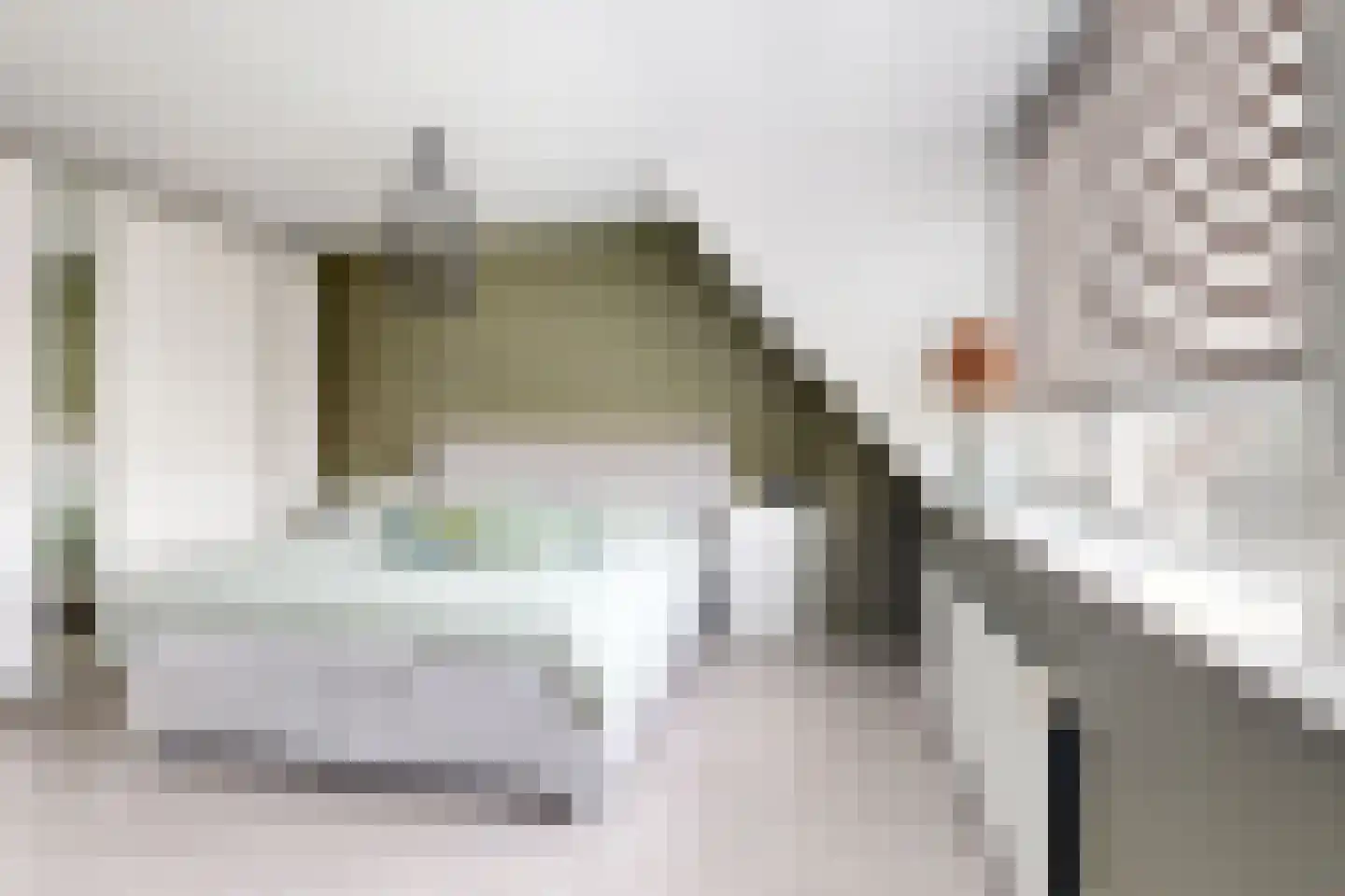 Reigerstraat 20 Fijnaart thumbnail 34