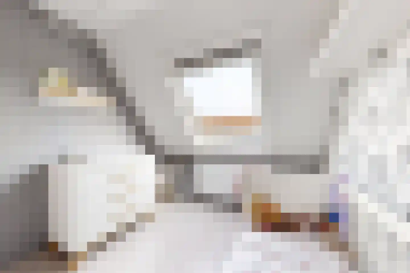 Reigerstraat 20 Fijnaart thumbnail 37