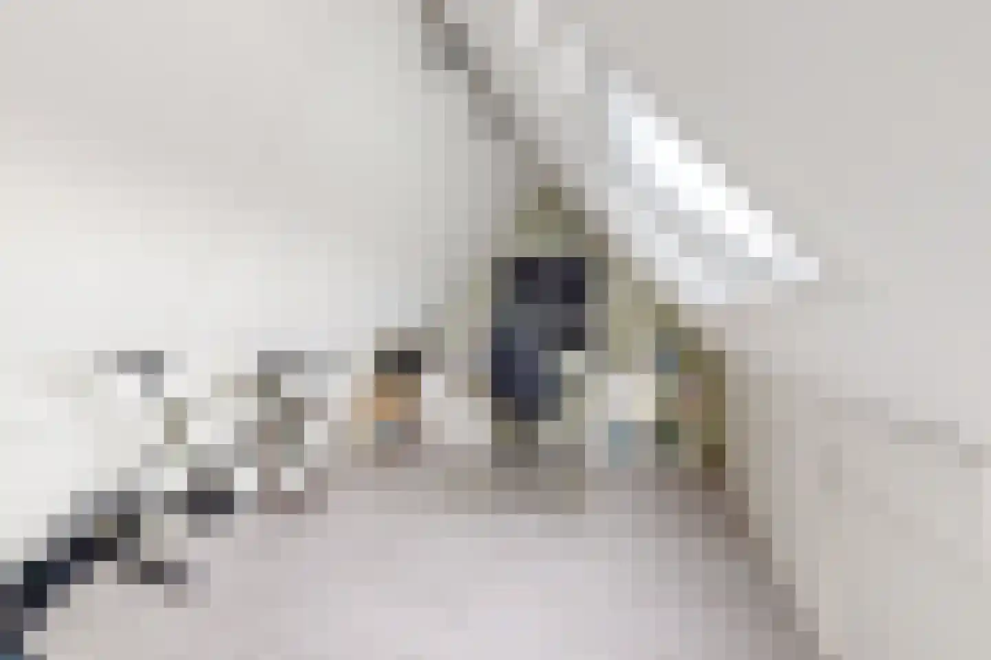 Reigerstraat 20 Fijnaart thumbnail 47