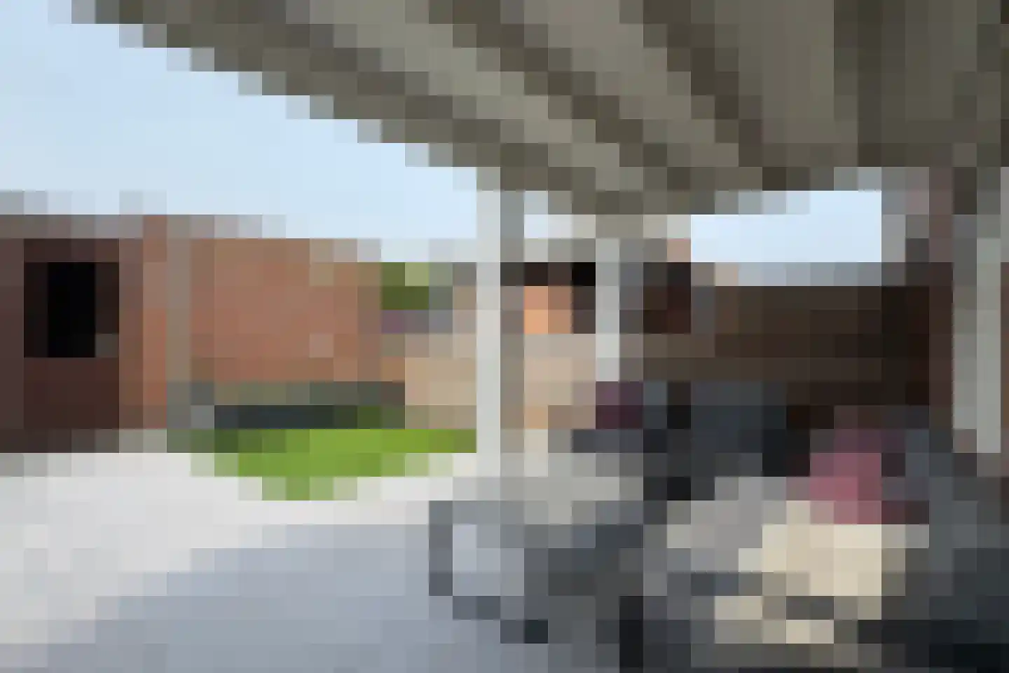 Reigerstraat 20 Fijnaart thumbnail 49