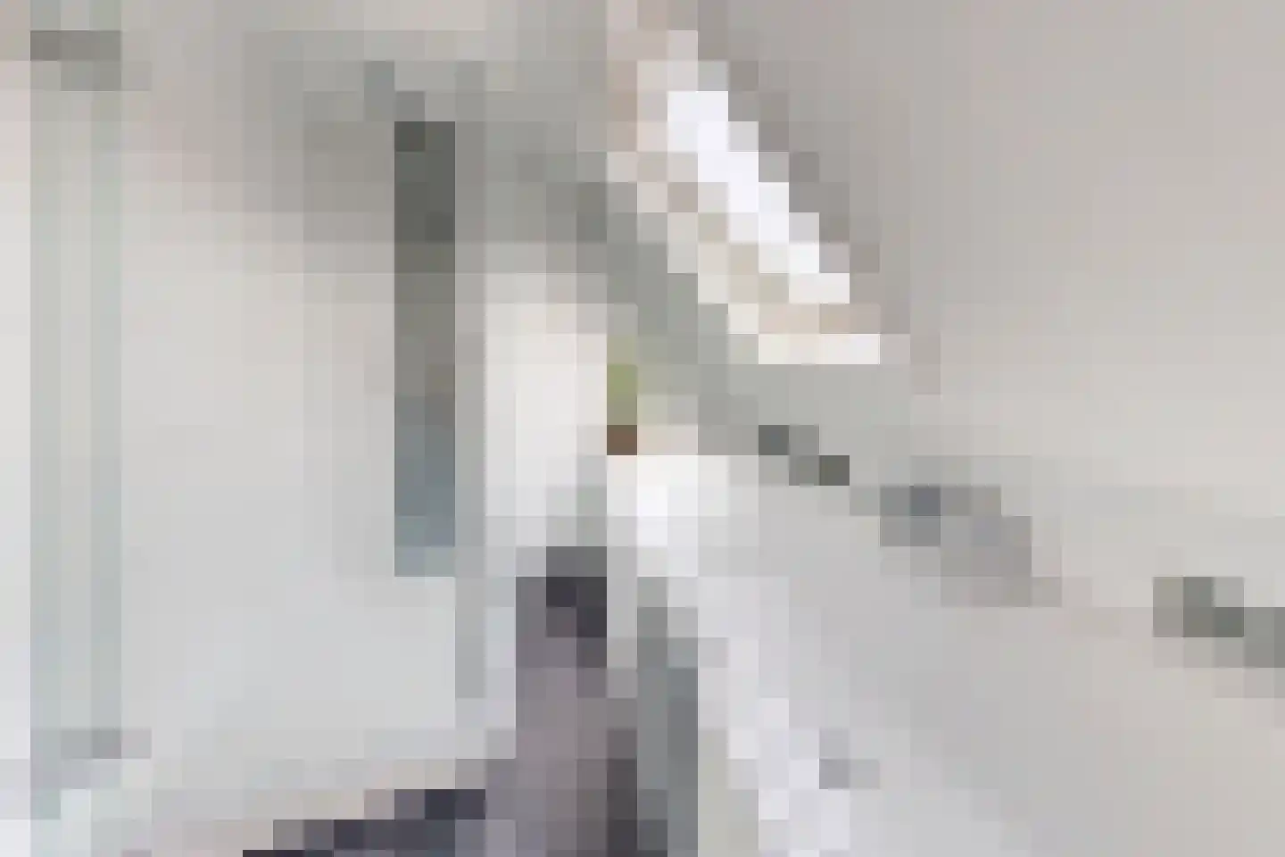 Reigerstraat 20 Fijnaart thumbnail 5
