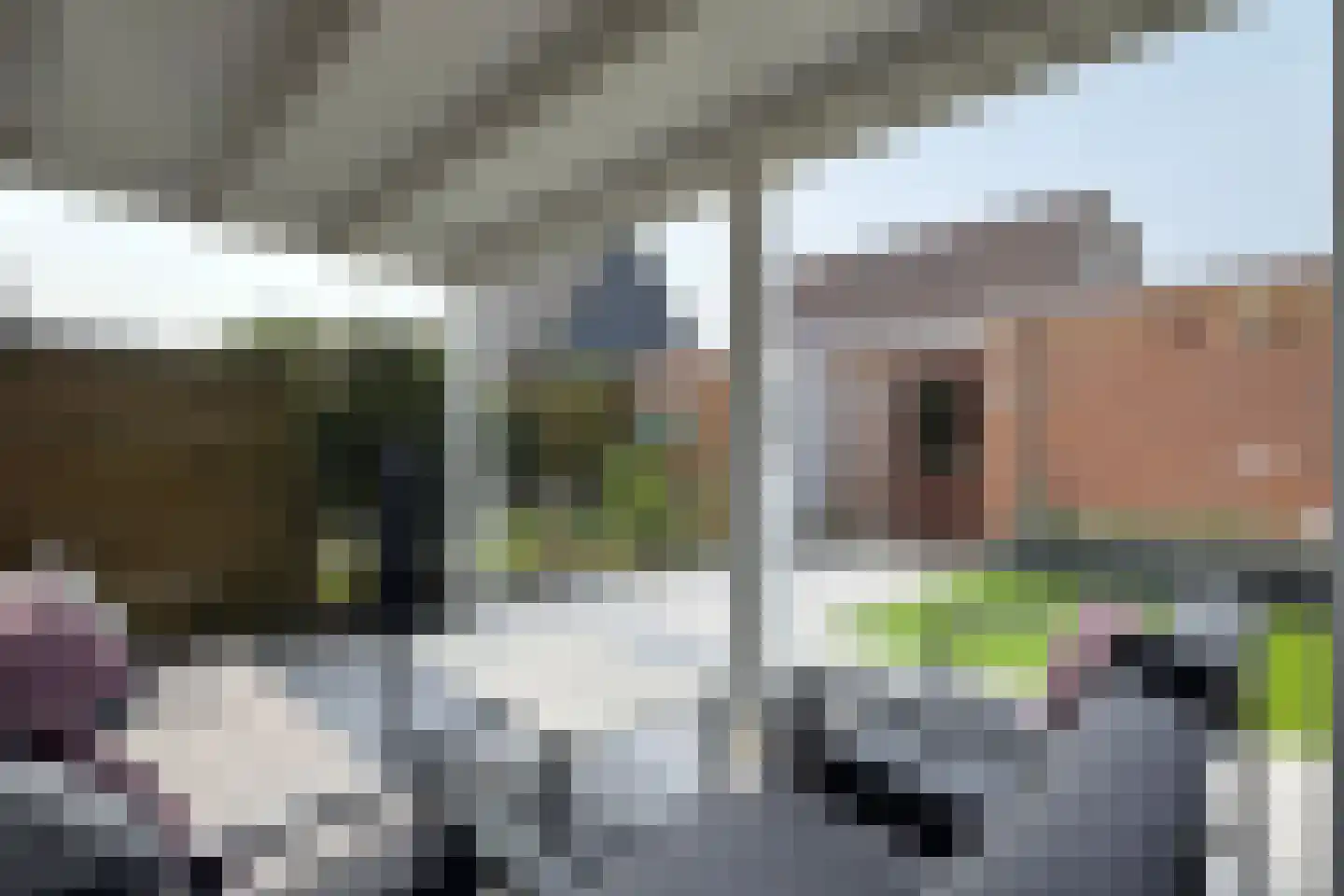 Reigerstraat 20 Fijnaart thumbnail 50