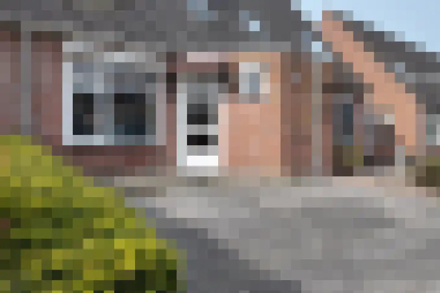 Reigerstraat 20 Fijnaart thumbnail 54