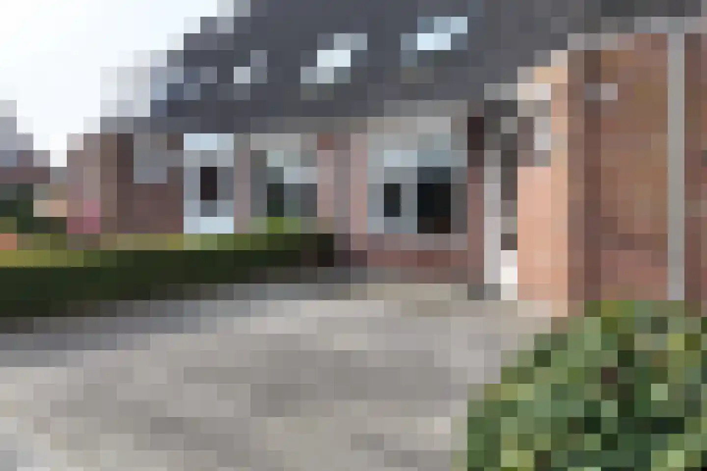 Reigerstraat 20 Fijnaart thumbnail 55