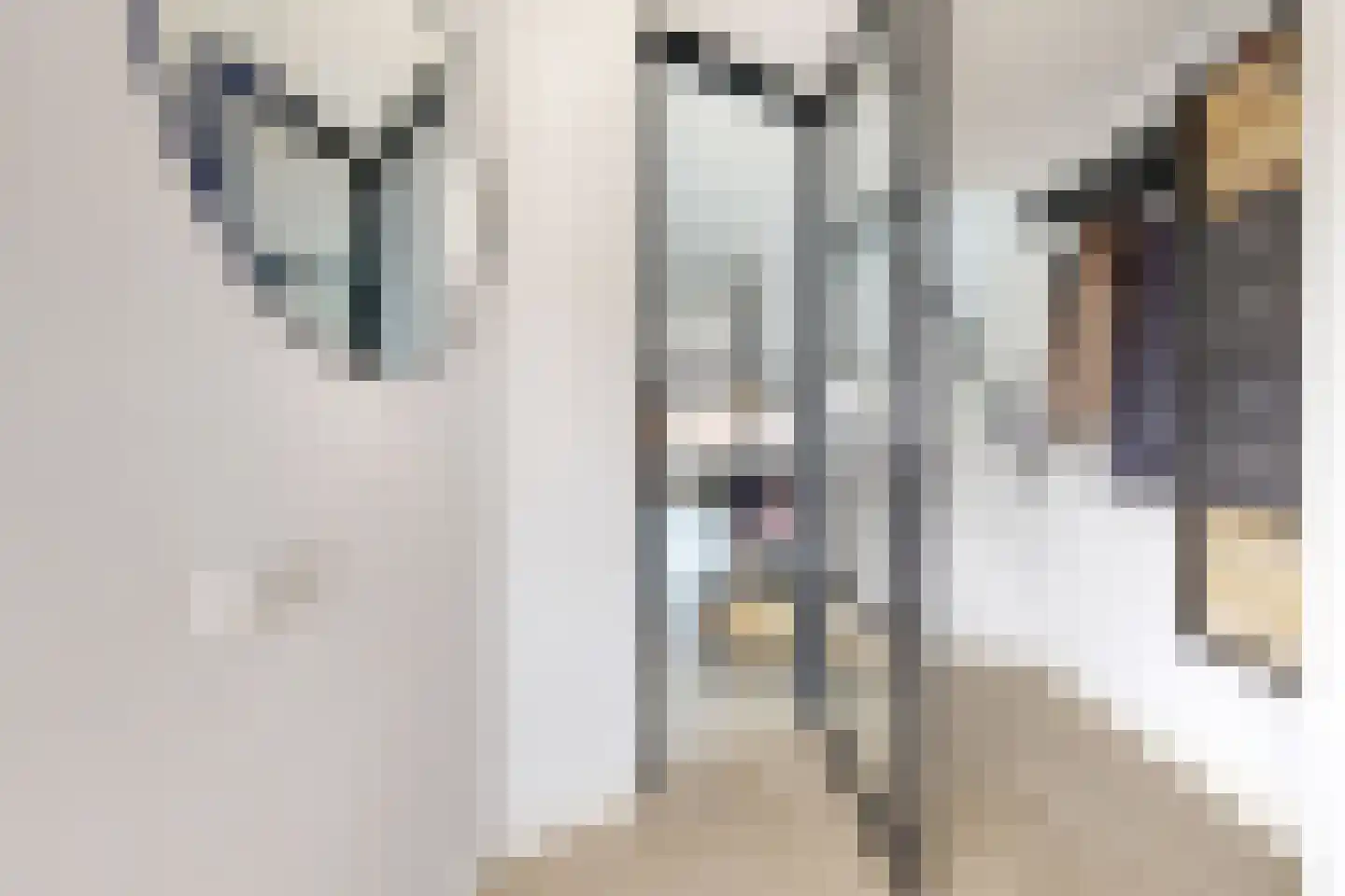 Reigerstraat 20 Fijnaart thumbnail 8
