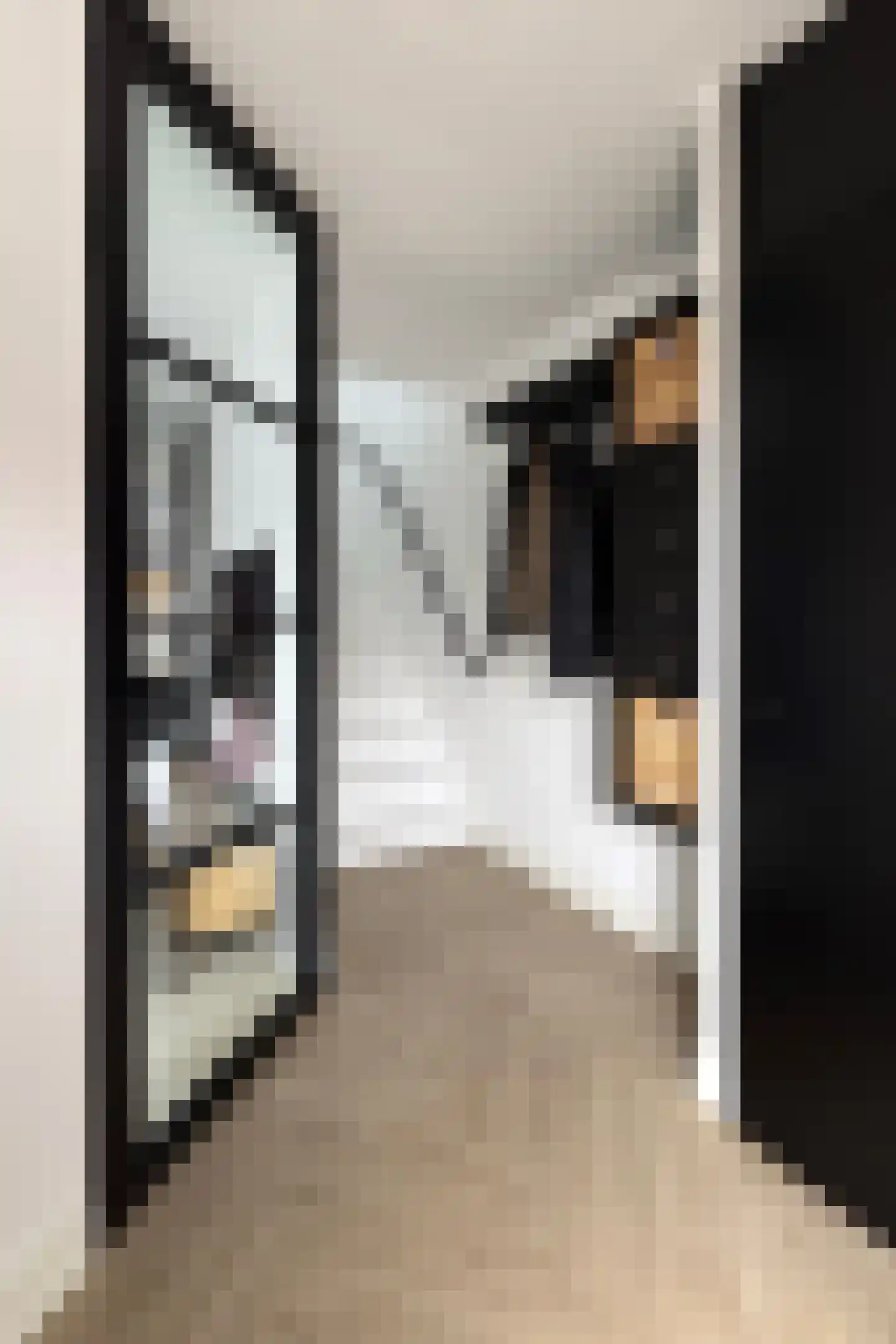 Reigerstraat 20 Fijnaart thumbnail 9