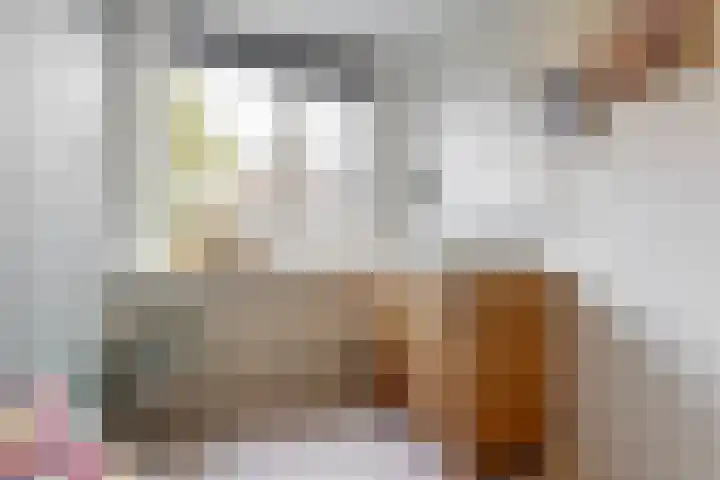 Reigerstraat 24 Beneden-Leeuwen thumbnail 20