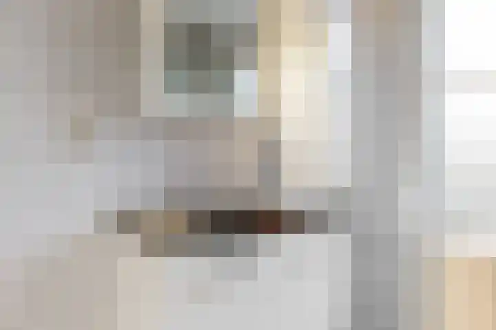 Reigerstraat 24 Beneden-Leeuwen thumbnail 23