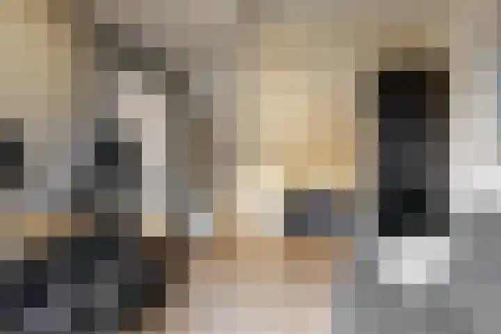 Reigerstraat 24 Beneden-Leeuwen thumbnail 29