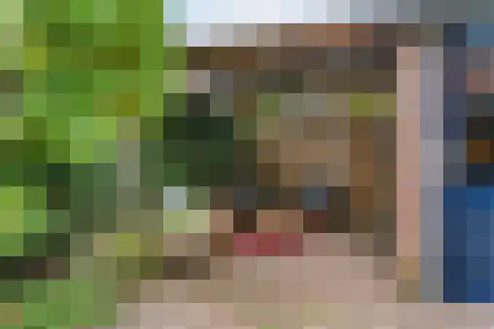 Reigerstraat 24 Beneden-Leeuwen thumbnail 31