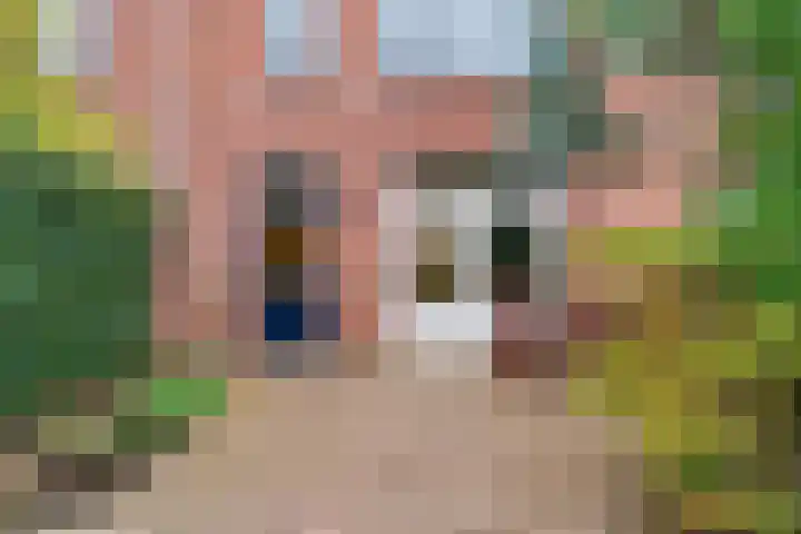 Reigerstraat 24 Beneden-Leeuwen thumbnail 34
