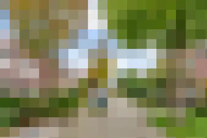 Reigerstraat 24 Beneden-Leeuwen thumbnail 37