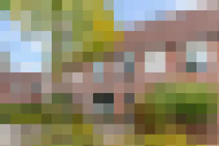 Reigerstraat 24 Beneden-Leeuwen thumbnail 4