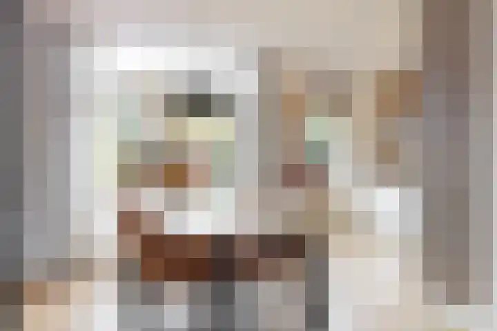 Reigerstraat 24 Beneden-Leeuwen thumbnail 9