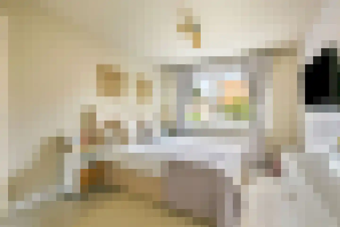 Reigerstraat 24 Haarlem thumbnail 16