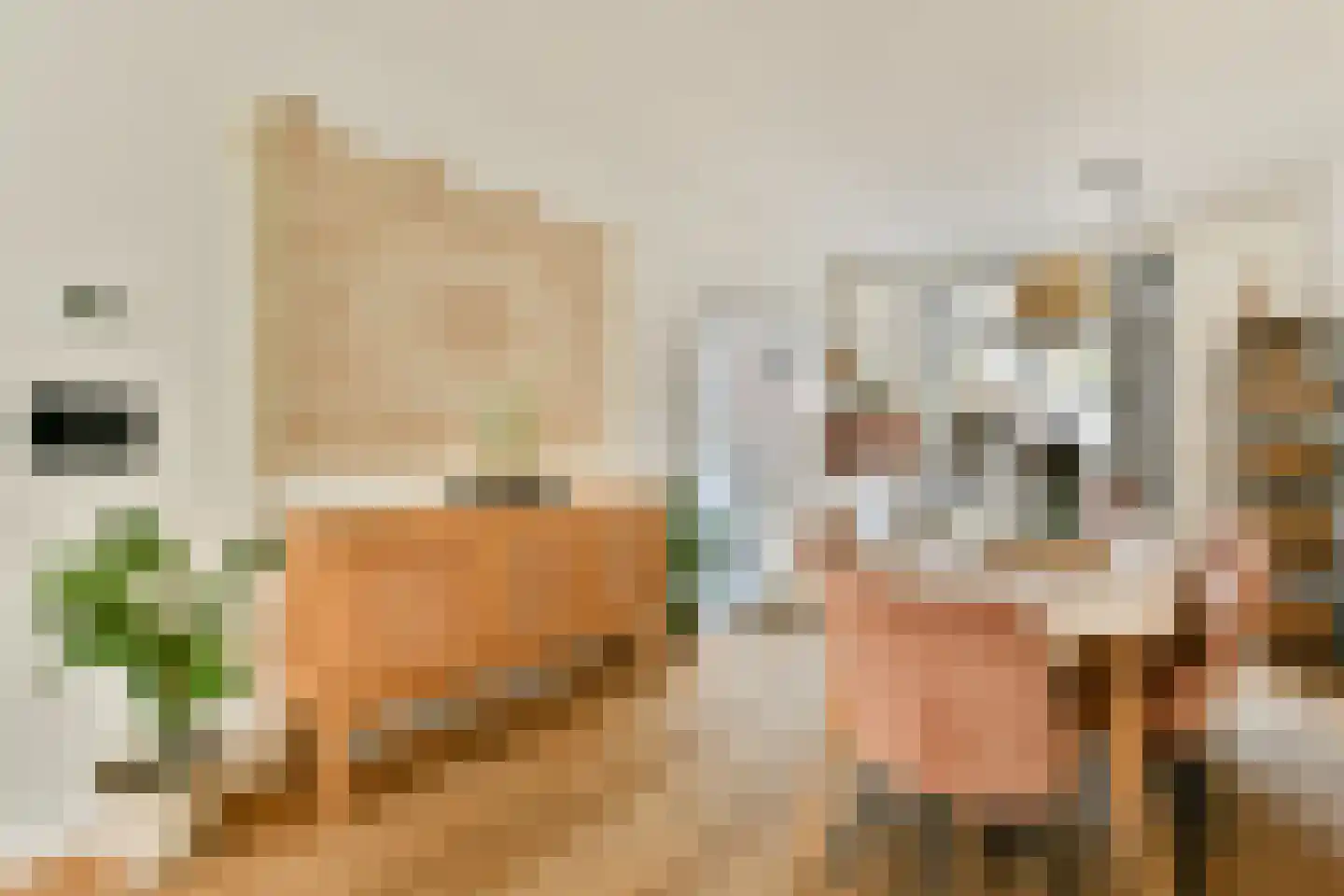 Reigerstraat 24 Haarlem thumbnail 6
