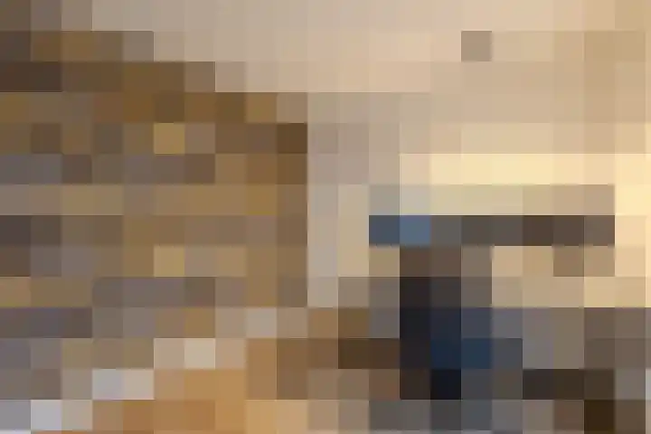 Reigerstraat 24 Tilburg thumbnail 20