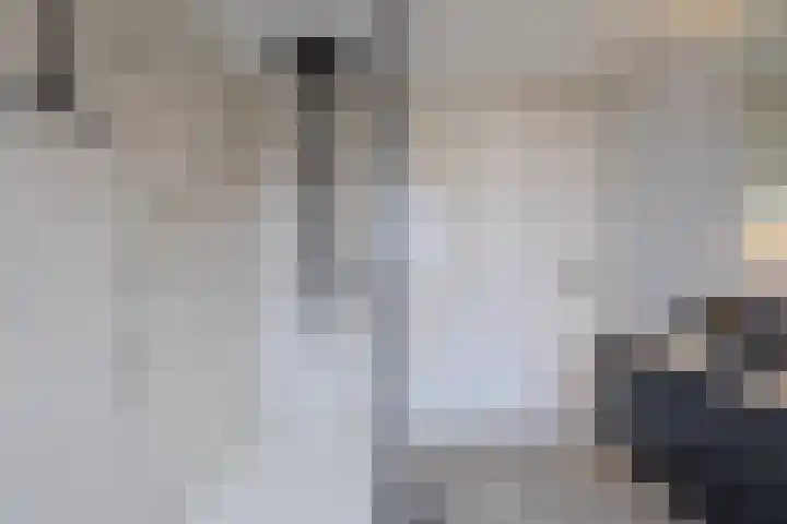 Reigerstraat 24 Tilburg thumbnail 24