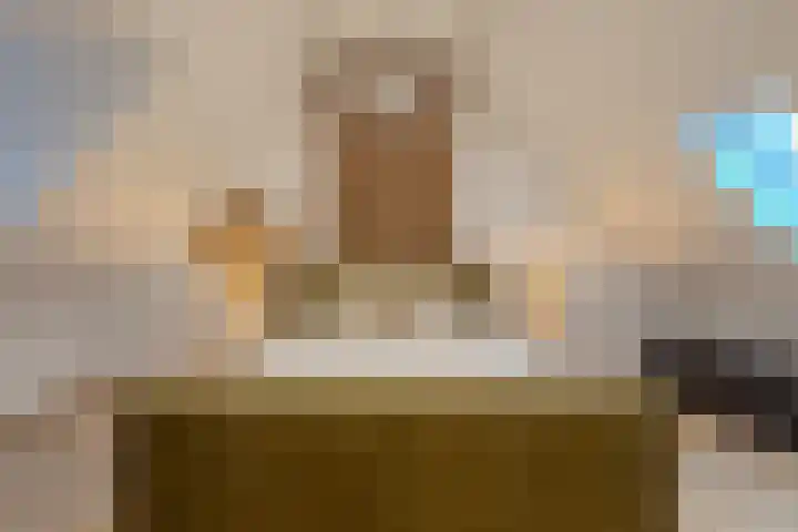 Reigerstraat 24 Tilburg thumbnail 28