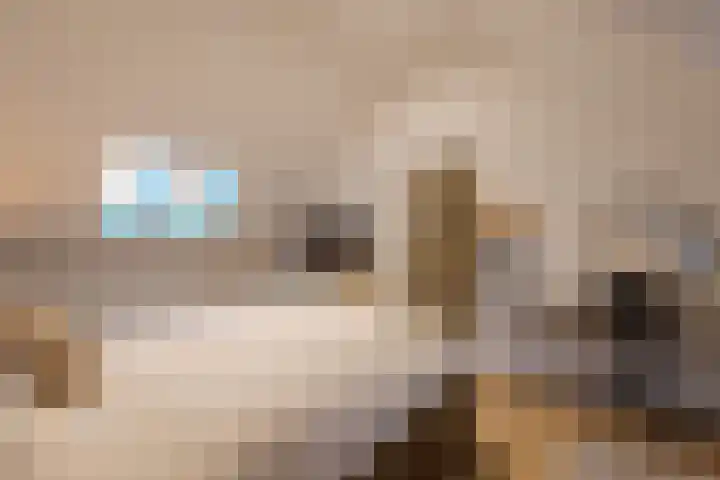 Reigerstraat 24 Tilburg thumbnail 31