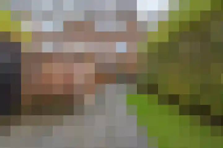 Reigerstraat 24 Tilburg thumbnail 32