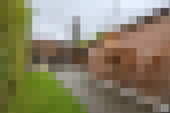 Reigerstraat 24 Tilburg thumbnail 34