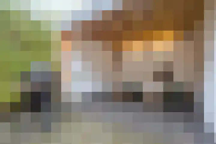 Reigerstraat 24 Tilburg thumbnail 36
