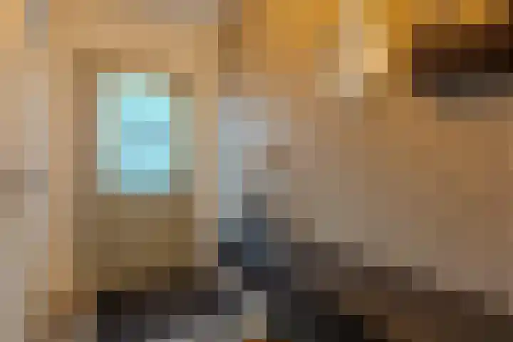 Reigerstraat 24 Tilburg thumbnail 6
