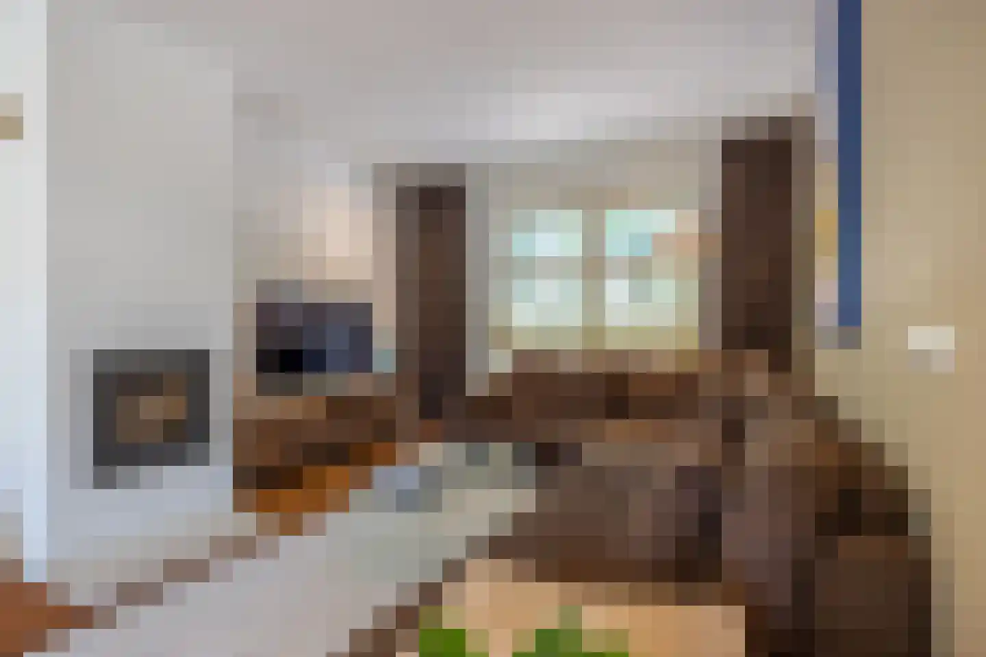 Reigerstraat 26 Tilburg thumbnail 16