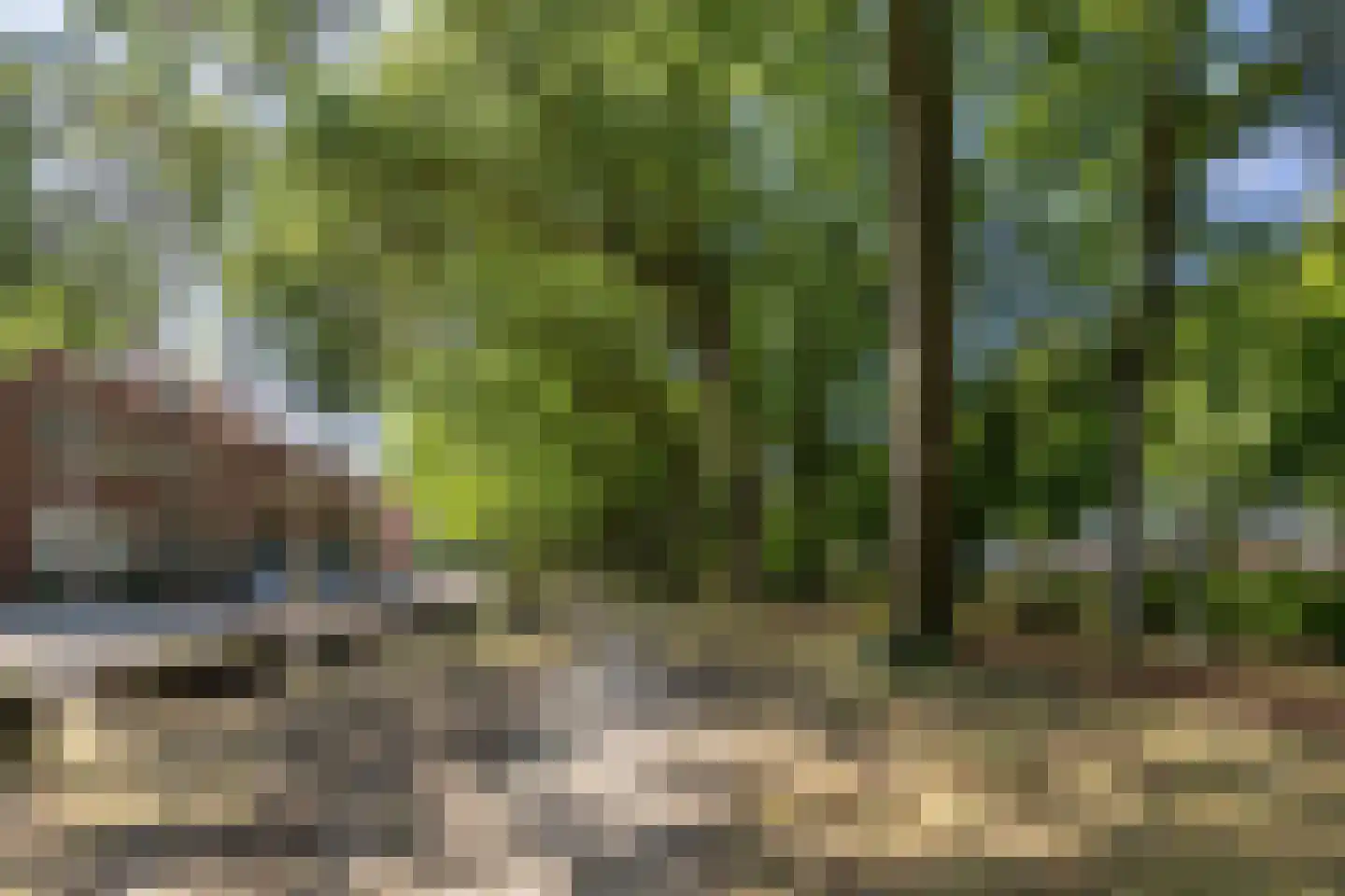 Reigerstraat 26 Tilburg thumbnail 36