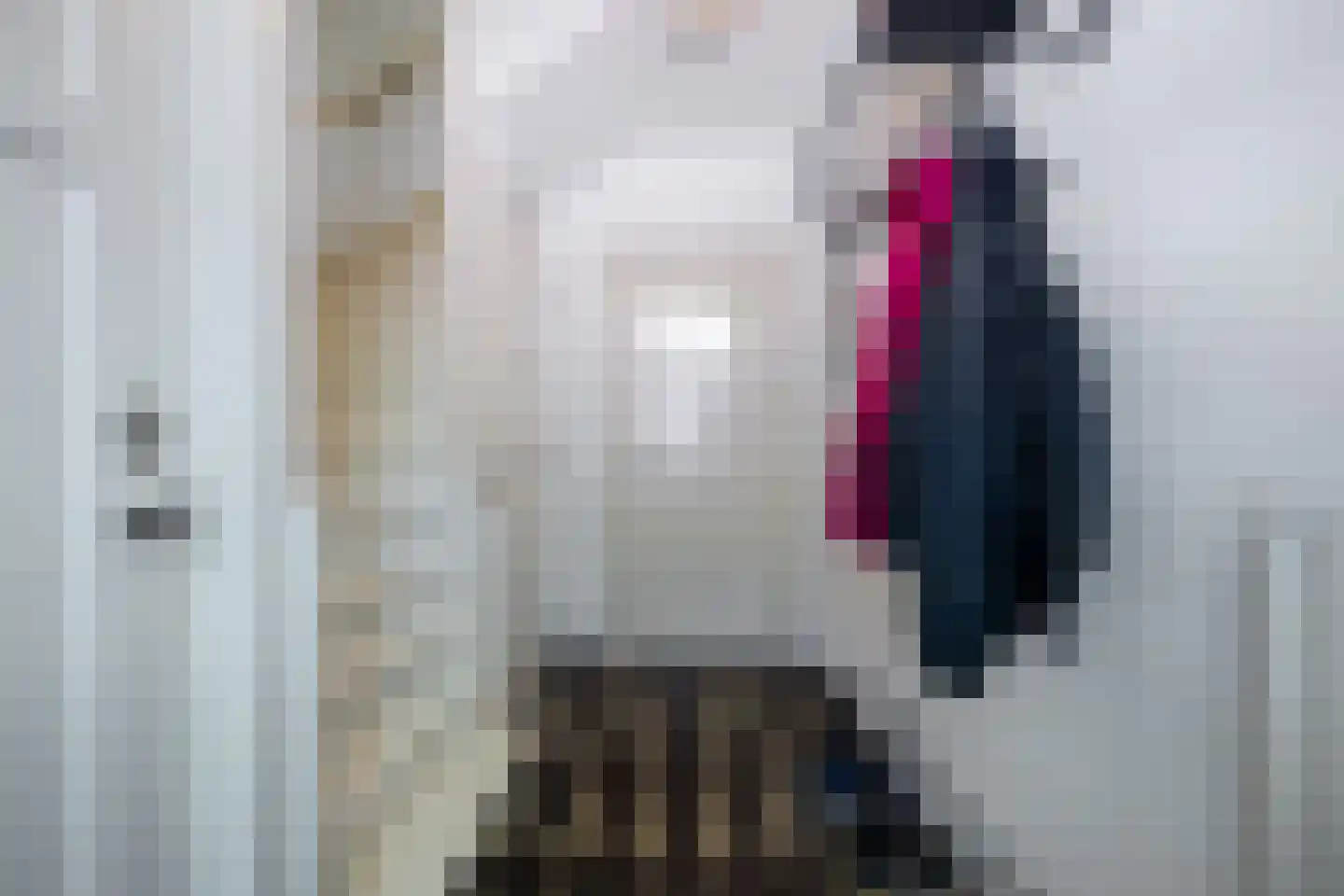Reigerstraat 26 Tilburg thumbnail 5